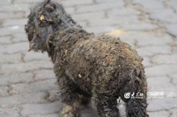 突發(fā)！青島一居民樓發(fā)生爆燃！已造1人死亡，7人受傷！3公里外有震感…