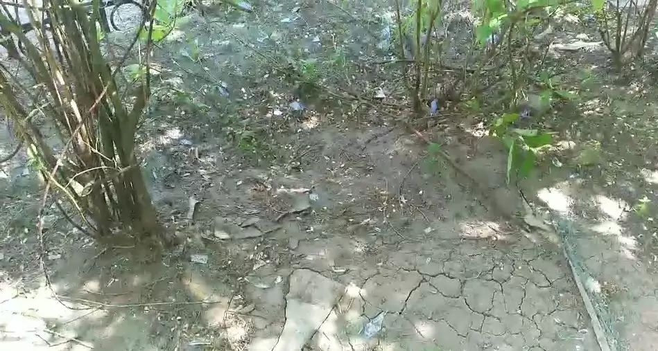 今晨，大慶經(jīng)五街2-41號樓二單元一樓發(fā)生燃氣爆炸！