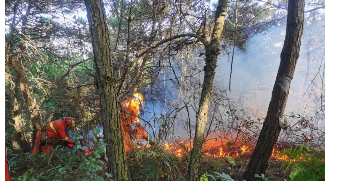 1604370055935178.png image.png